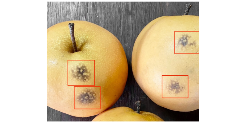 兴发娱乐·(中国游)官方网站