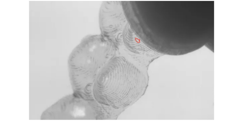 兴发娱乐·(中国游)官方网站